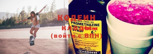 первитин Каменка