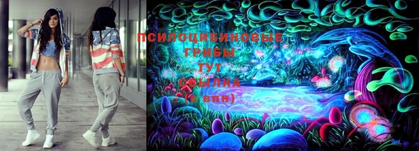 ALPHA PVP Каменногорск