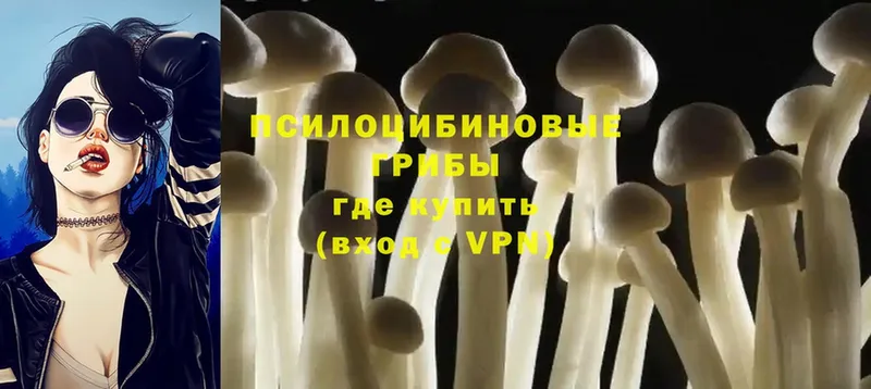 Галлюциногенные грибы MAGIC MUSHROOMS  Орехово-Зуево 